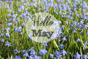 Welcome May - A Glimpse Of Spring In A Lily Field Wallpaper