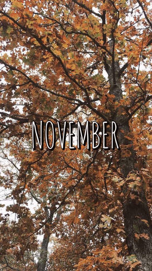 Welcome November With The New Iphone Wallpaper