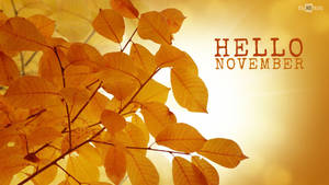 Welcome November! Wallpaper