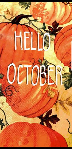 Welcome October With A Festive Pumpkin Display Wallpaper