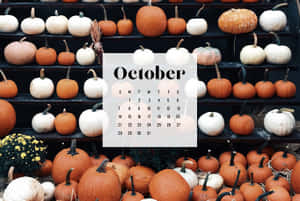 Welcome October With A Pumpkin Wallpaper