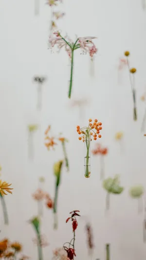Welcome Spring With Minimalism Wallpaper