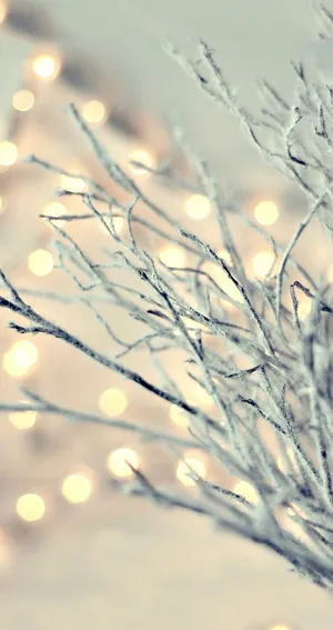 Welcome The Holidays With Magical Christmas Lights Wallpaper