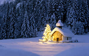 Welcome The Joy Of Winter With A Snow-covered Christmas! Wallpaper