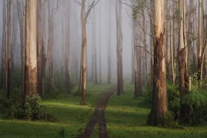 Welcome To Google Landscape! Wallpaper