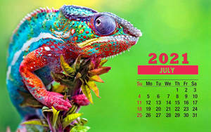 Welcome To July With The Colorful Chameleon 2021 Calendar! Wallpaper