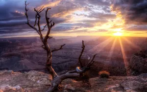 Welcome To Phoenix, Arizona, The Valley Of The Sun Wallpaper