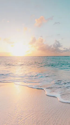 Welcome To The Best Summer Ever! Wallpaper