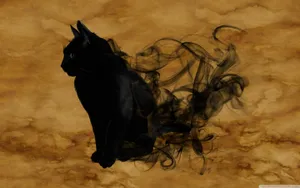 Welcome To The Spooky Season! Wallpaper