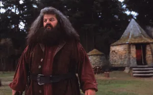 Welcoming A New Perspective At The Hogwarts Professors. Wallpaper