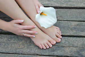 Well-groomed Toes White Flower Wallpaper