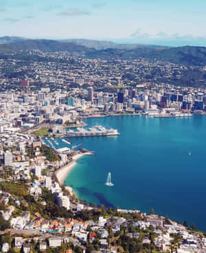 Wellington Cityscape Aerial View Wallpaper
