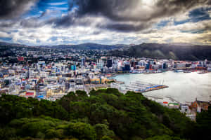 Wellington Cityscape Aerial View Wallpaper