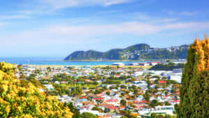 Wellington Cityscapeand Coastline New Zealand Wallpaper