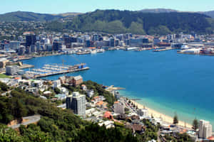 Wellington Cityscapeand Coastline New Zealand Wallpaper