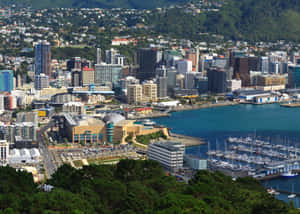 Wellington Cityscapeand Harbor New Zealand Wallpaper