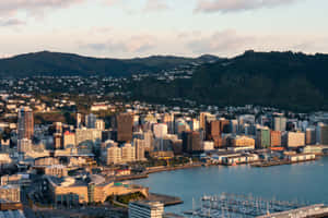 Wellington Cityscapeat Dusk Wallpaper