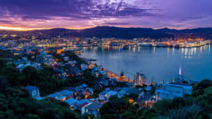 Wellington Twilight Cityscape Wallpaper