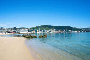 Wellington Waterfront Clear Sky Wallpaper