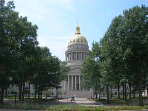 West Virginia And The People's Tree At The State's Capitol Wallpaper
