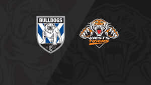 Wests Tigers Wallpaper