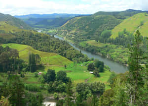 Whanganui River Valley New Zealand Wallpaper