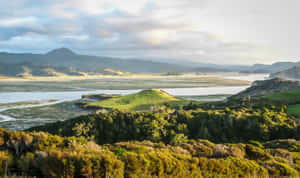 Whanganui River Valley New Zealand Wallpaper