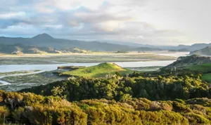 Whanganui River Valley New Zealand Wallpaper