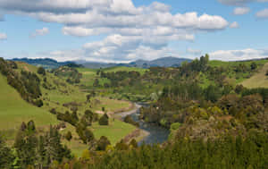 Whanganui River Valley New Zealand Wallpaper