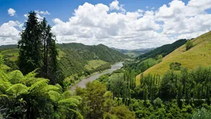 Whanganui River Valley New Zealand Wallpaper