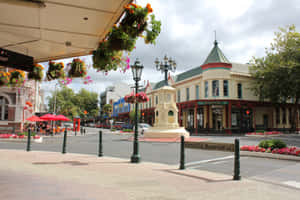 Whanganui Victoria Avenue Street View Wallpaper