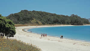 Whangarei Coastal Beach Scenery Wallpaper