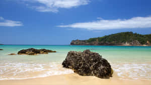 Whangarei Coastal Paradise Wallpaper