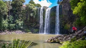 Whangarei Falls New Zealand Wallpaper