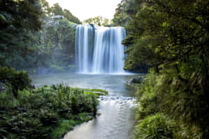 Whangarei_ Falls_ Serenity_ New_ Zealand Wallpaper