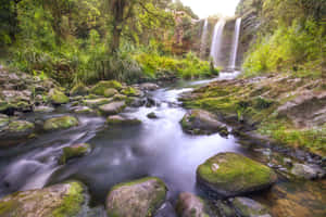 Whangarei_ Falls_ Serenity_ New_ Zealand Wallpaper