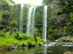 Whangarei_ Falls_ Tranquil_ Scene Wallpaper