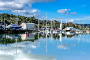 Whangarei Marina Serene Waters.jpg Wallpaper