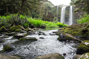 Whangarei Waterfall Serenity Wallpaper