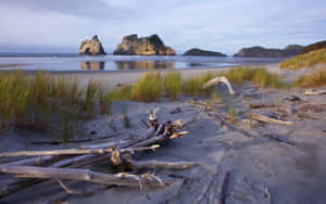 Wharariki_ Beach_ Scenic_ View_ New_ Zealand Wallpaper