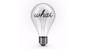 What Inquiry Lightbulb Wallpaper