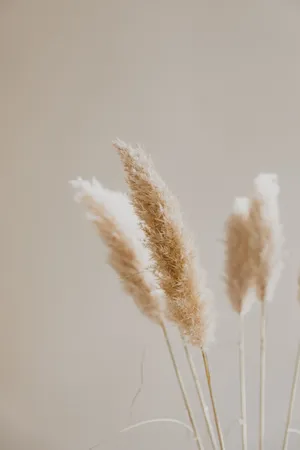 Wheat Flower Set On Beige Aesthetic Phone Wallpaper