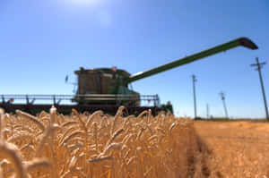 Wheat Harvest At Sunset Wallpaper