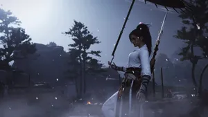 Where Winds Meet Warrior Wallpaper