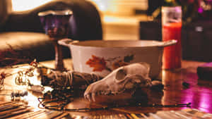 Whimsigoth Vibe Still Life Wallpaper
