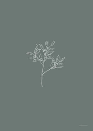 White Aesthetic Cute Plant Wallpaper