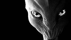 White Alienware Creepy Face Wallpaper