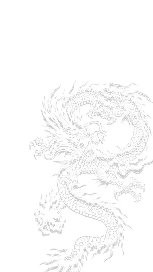 White Background Wallpaper Wallpaper