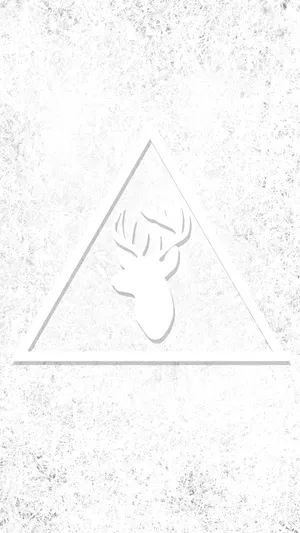 White Background Wallpaper Wallpaper