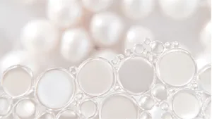 White Background Wallpaper Wallpaper